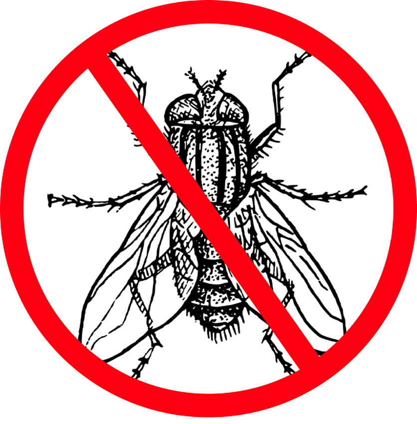 How to prevent flying insects from entering your warehouse