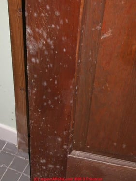 White_Mold_timber door.jpg