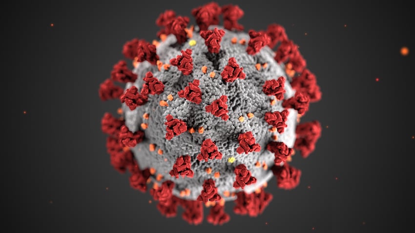 COVID-19: Measures businesses can take for The Coronavirus