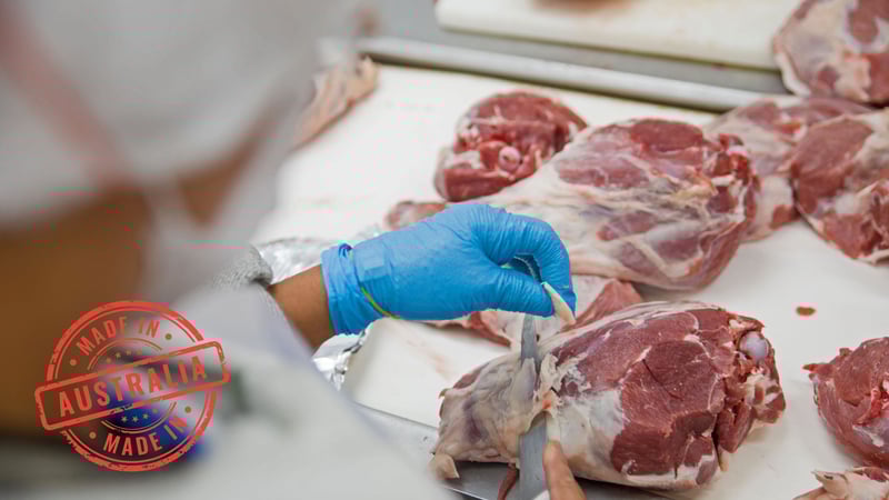 Meat Processing Blog Banner for EDM
